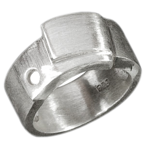 Ring Model